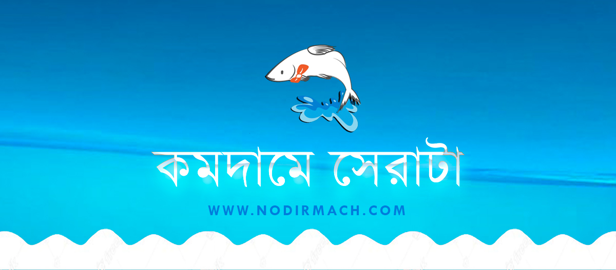 Nodirmach promo
