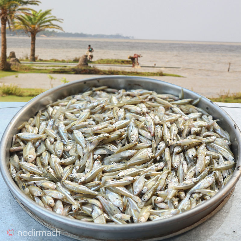 নদীর মলা-Mola